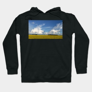 Land of living skies 4 Hoodie